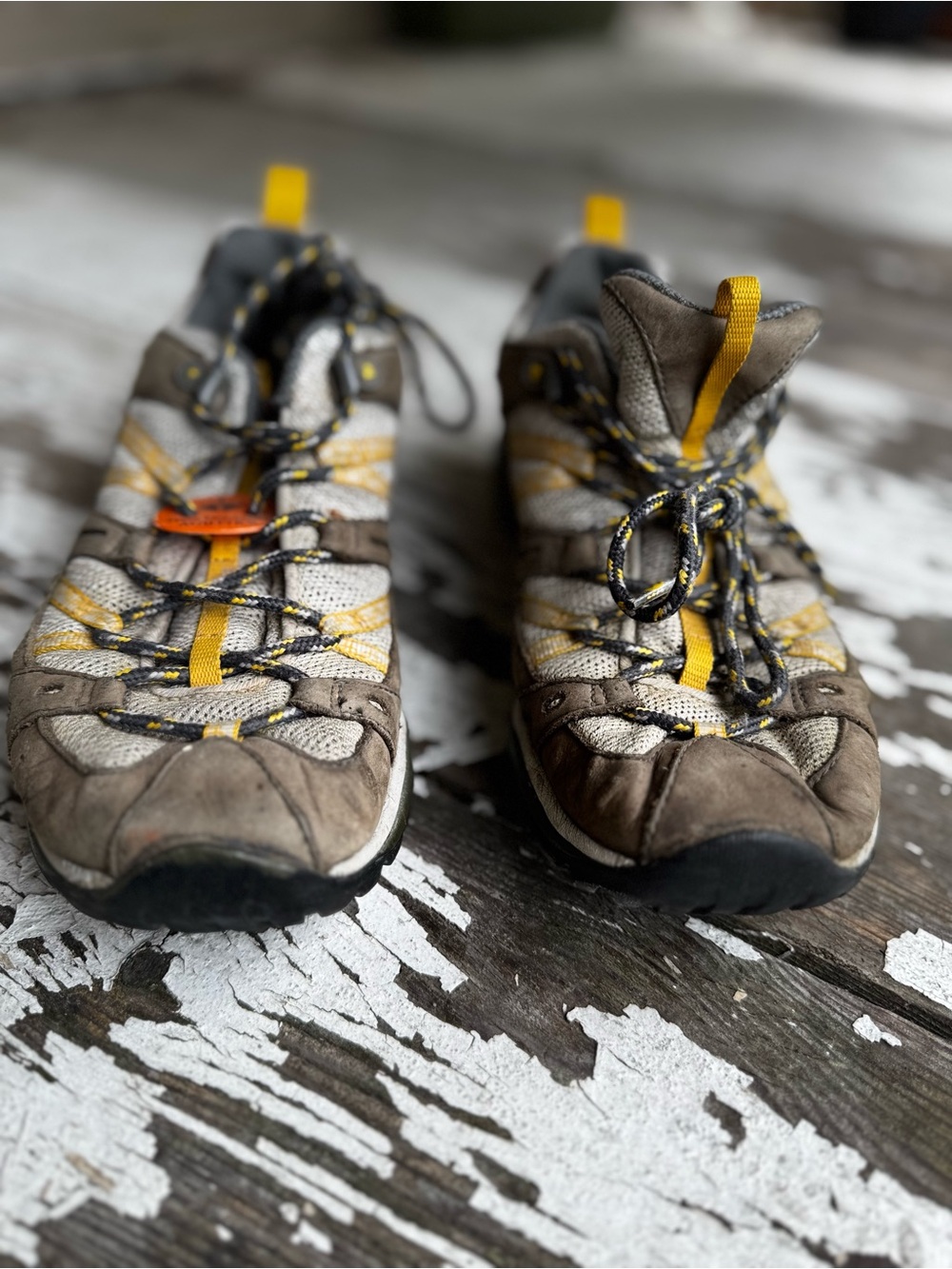 Merrell Brown and Yellow Hiking Sneakers